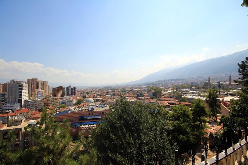 Bursa